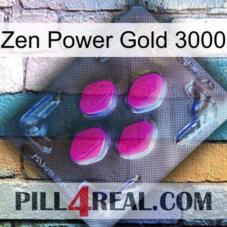 Zen Power Gold 3000 02
